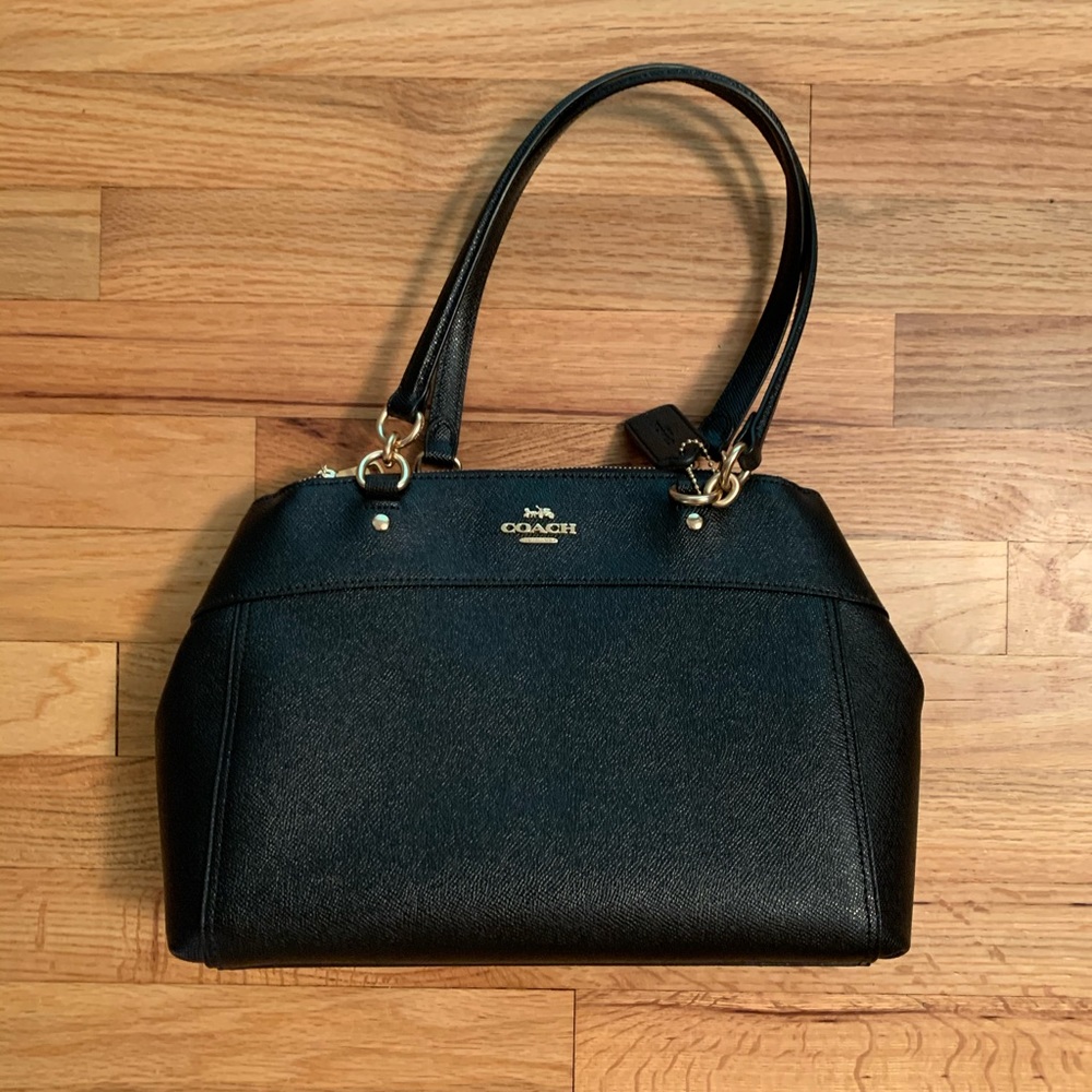 Coach Mini Lillie Carryall